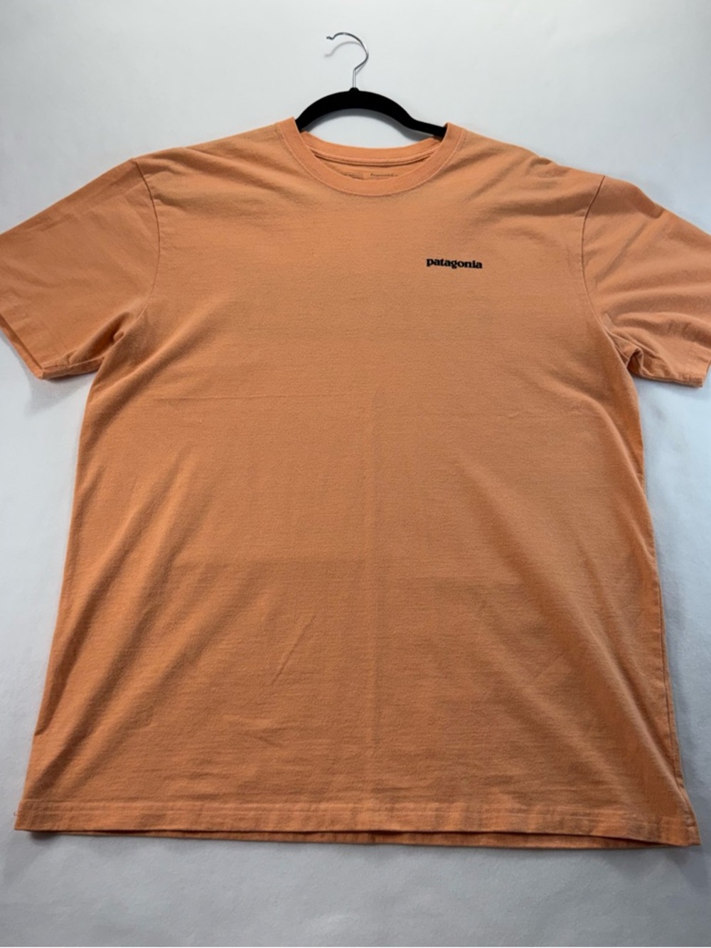 Patagonia Men’s Peach Short Sleeve Crew Tee